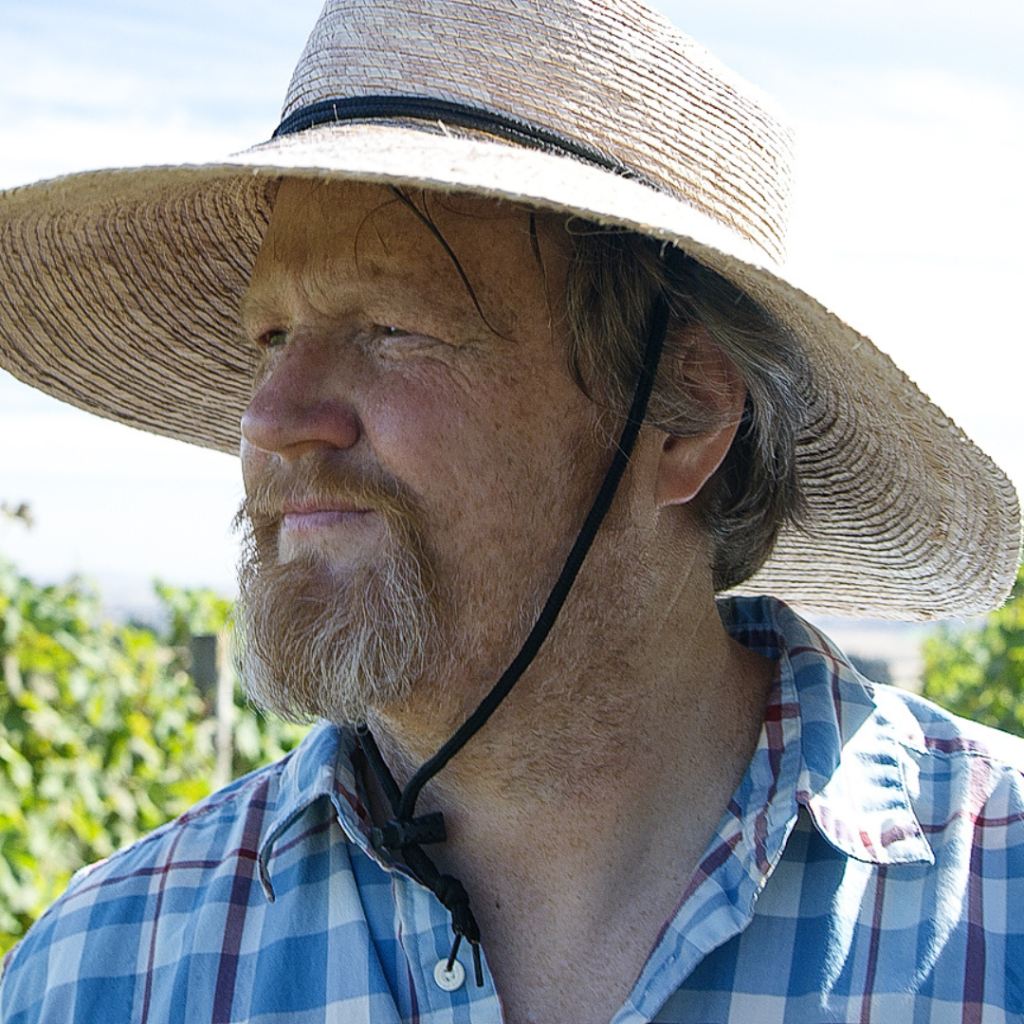 Jerry Project M Wines